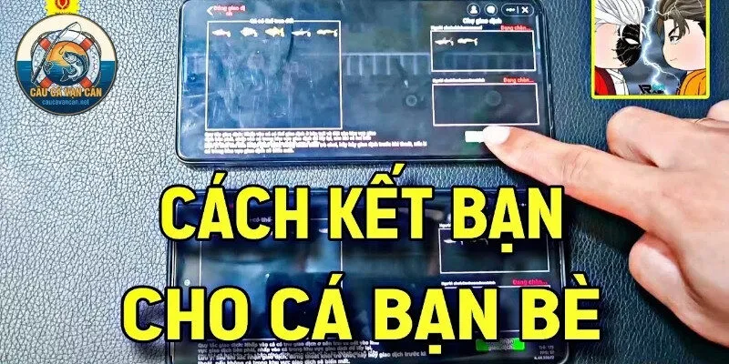 Cách Kết Bạn Trong Câu Cá Vạn Cân Nhanh Chóng Nhất